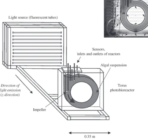 Fig. 1. Schematic representation and photography (front view) of the torus PBR.