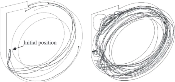 Fig. 2. Example of cell trajectories determined using the Lagrangian approach. Left: