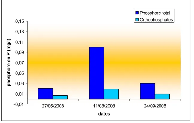 Figure 5 : formes du phosphore