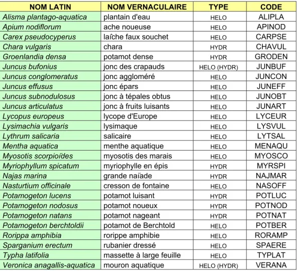 Tableau 5 : liste des macrophytes observés