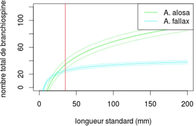 Figure 11 : Nombre de branchiospines en fonction de la longueur standard pour les 2 espèces