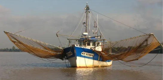 Figure 1 : Le navire de pêche équipé de 2 haveneaux 