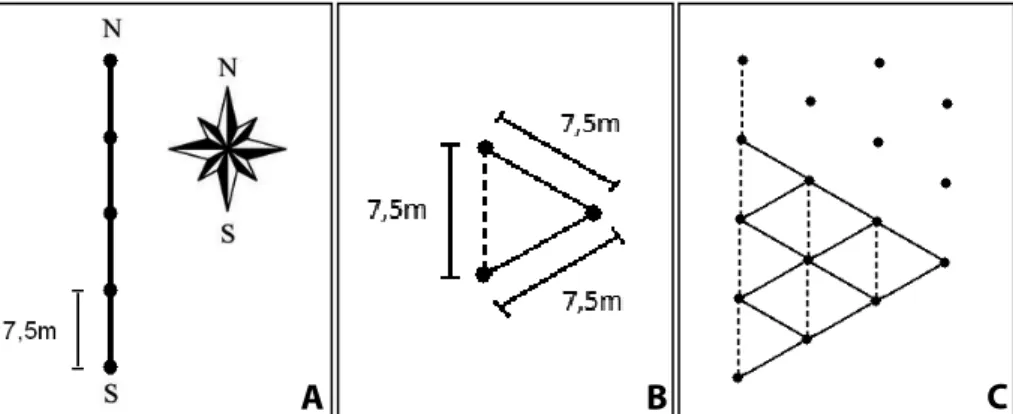 Figura  22.  marcação  das  covas  no  primeiro  alinhamento  (A).  corda  com  15  m  utilizada na marcação (B)