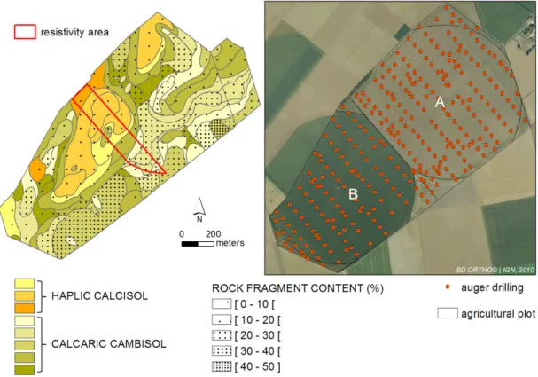 Figure 1 Soil map (left) and location of auger drilled holes used to establish the soil map (right) of  the A and B agricultural parcels