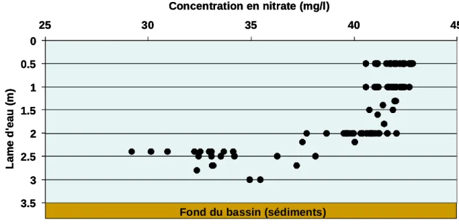 Figure 13: Concentration en nitrates dans le bassin en fonction de la profondeur (mesures du 23 juin 2009)