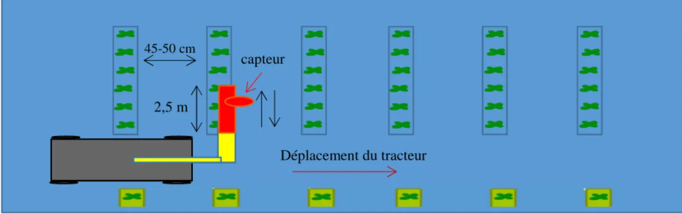 Figure 1 -  Solution robotisée retenue pour le phénotypage 