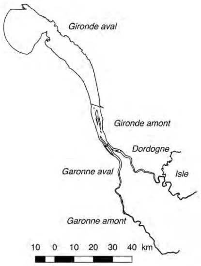 Figure 1: Masses d’eau de transition sur l’estuaire de la Gironde. Seules les masses d’eau Gironde aval, Gironde amont,  Garonne amont et Dordogne sont échantillonnées sur la période 2016-2018