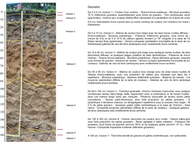 Figure 9. Analyse d'une fosse pédologique sur le site d’Ars-sur-Formans, (Jean-Michel Boissier, Ecosylve)