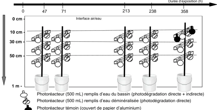 Figure 4 : Stratégie expérimentale pour étudier la photodégradation de micropolluants organiques  en ZRV (exemple de la campagne de juillet 2015) 