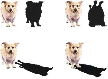 FIG. 2.6 — Technique des fausses ombres