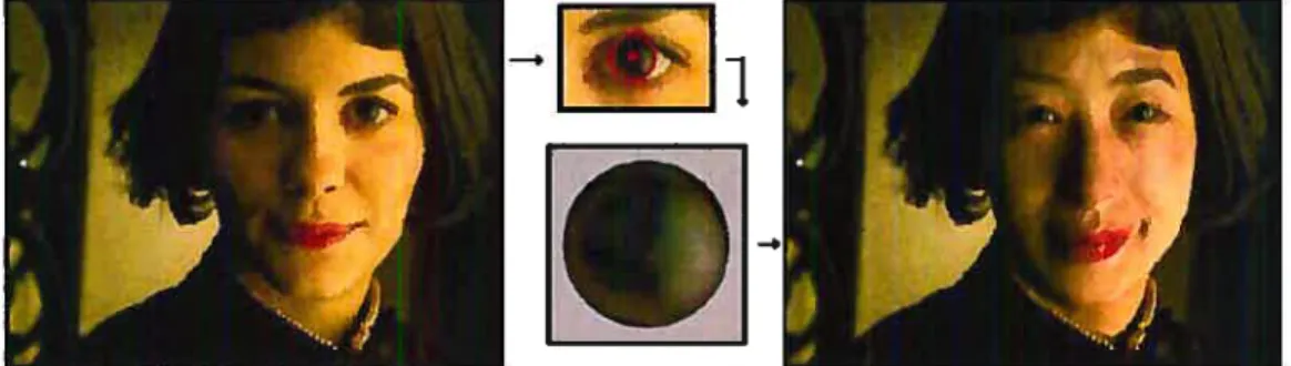 FIG. 3.2 - Les yeux comme sonde d’illumination [NNO4]