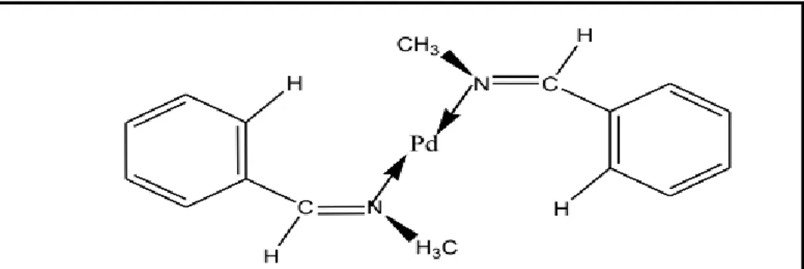 Figure I.8 : Complexe de Pd à base de Schiff monodenté. 