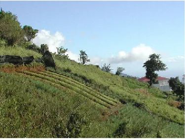 Figure 8 : Vue en coupe d’une parcelle montrant le palier de labour et l’accumulation de colluvions par  rapport à la surface initiale de la pente, d’après Kimaro et al, 2004 