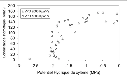 Figure 5 : Réponse de la conductance stomatique au potentiel hydrique du xylème à deux valeurs de différence  de pression de vapeur feuille air (VPD AF )