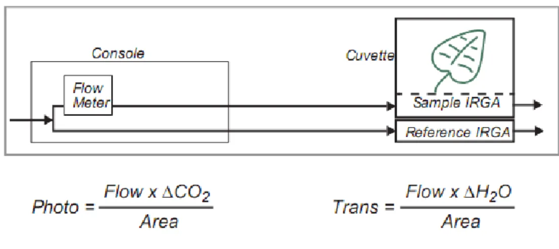 Figure 7 : Schéma du principe du LI-6400 (Using the LI-6400 v5.3 ,LI-COR) 