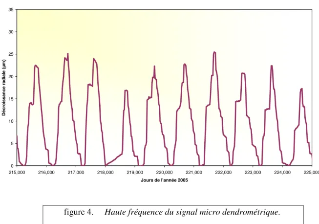 figure 4.  Haute fréquence du signal micro dendrométrique. 