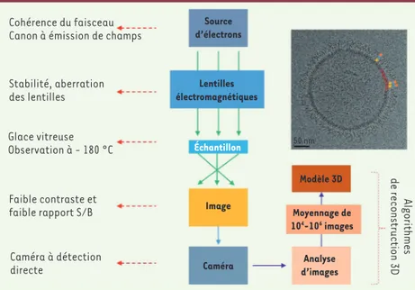 Figure 2. Représentation schématique d’un microscope  électronique, des avancées récentes de la cryo-EM et de  l’analyse d’images pour la détermination de modèles 3D  d’échantillons biologiques