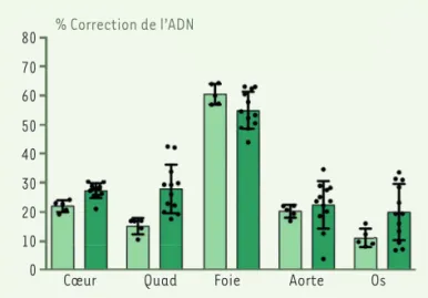 Figure 2.  Correction de la mutation « progeria » après traitement des  souris par un éditeur de bases, évaluée par l’analyse de l’ADN de  diffé-rents organes