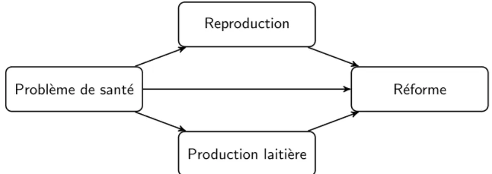 Figure 2.1 – Effets directs et indirects des probl`emes de sant´e sur la r´eforme.