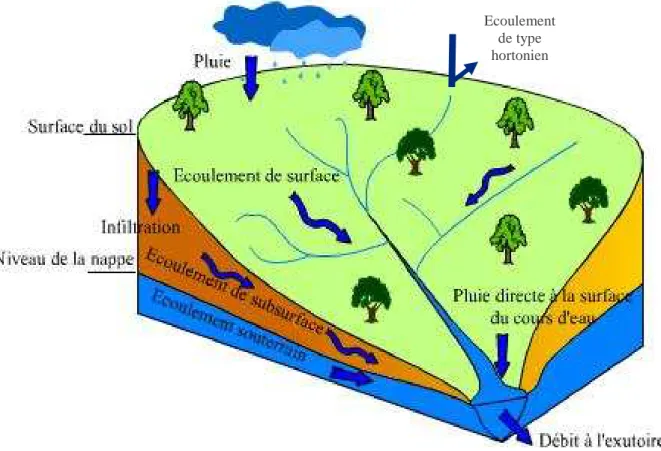 Figure 5 : Ecoulements et processus d’infiltration à l’échelle du bassin versant. 