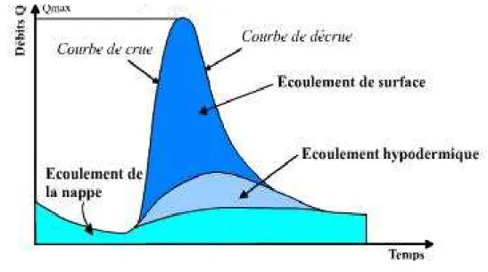Figure 6: hydrogramme de crue. 