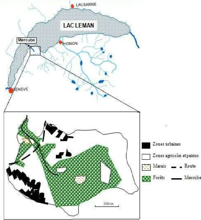 Figure 10: Bassin versant du Mercube: situation, limites du bassin et principaux modes d ’occupation des sols 