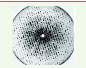 Figure 1. Image de diffraction de rayons X par un cristal de myo- myo-globine (MRC Laboratory of Molecular Biology, Cambridge, GB).