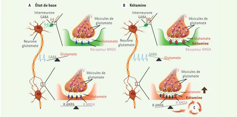Figure 3. Représentation schématique de l’hypothèse de Maeng et Zarate. A. À l’état de base, le glutamate active des récepteurs NMDA (N-méthyl- (N-méthyl-D-aspartate) sur des interneurones GABA (gamma-aminobutyric acid), inhibant l’activité des neurones ci