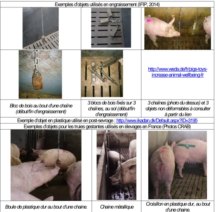 Tableau 1 : Diversité des matériaux manipulables pour des porcs de différents âges 