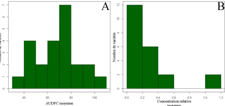 Figure 5 : Distribution du nombre de variétés en fonction de l’AUDPC moyenne de la variété (figure A) et de  la concentration relative moyenne de PVY de la variété (figure B) 