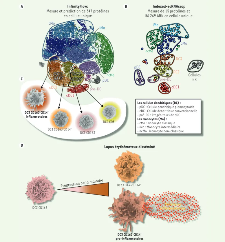Figure 2. Analyse multi-omique des phagocytes mononucléés circulants humains. A-B. Analyse de l’expression de (A) protéines utilisant le plate- plate-forme InfinityFlow ou de (B) 15 protéines combinées à l’intégralité des ARN messagers (transcriptome) en c