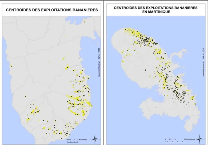 Figure 5 : Cartographie des centroïdes des exploitations bananières en Guadeloupe et en Martinique.