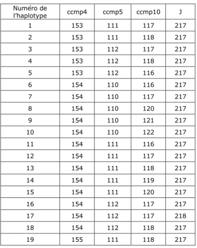 Tableau 3. Haplotypes chloroplastiques obtenus avec les 4 marqueurs chloroplastiques. Les valeurs  correspondent aux tailles des fragments amplifiés pour chaque allèle