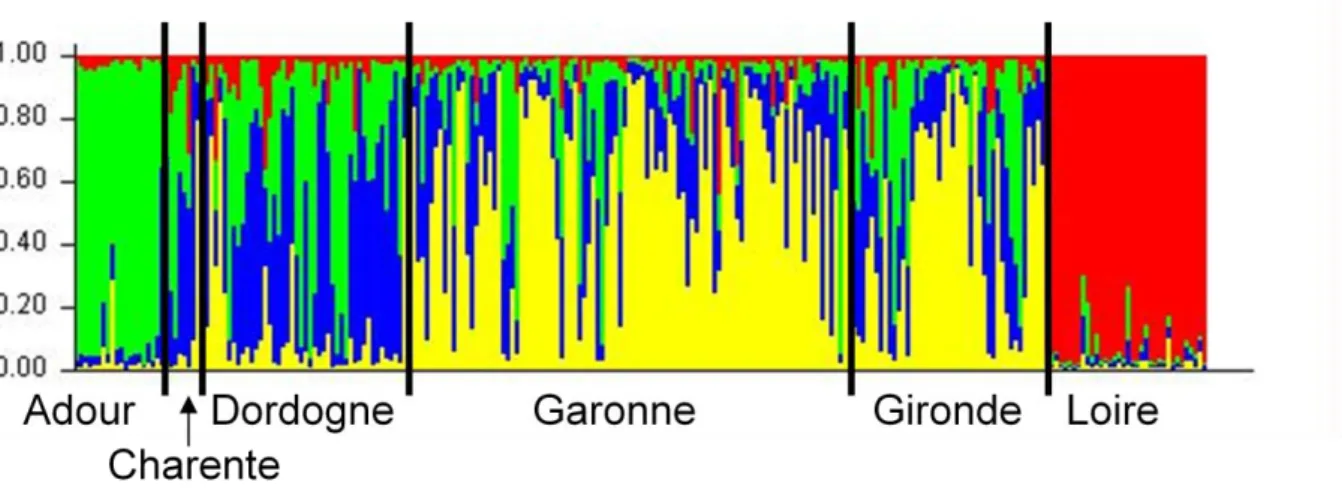 Figure  2.  Analyse  bayésienne  de  257  pieds  d’Angelica  heterocarpa  échantillonnés  sur  les  différents  bassins  indiqués