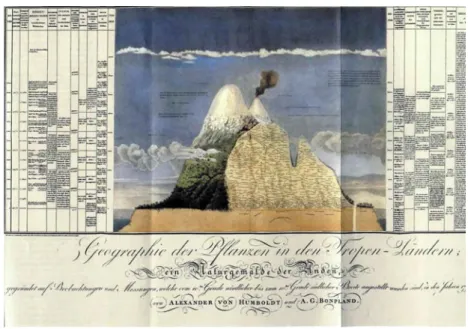 Figure IV-1 : Répartition de la végétation sur les flancs du volcan Chimborazo  (carte publiée en 1805 par A