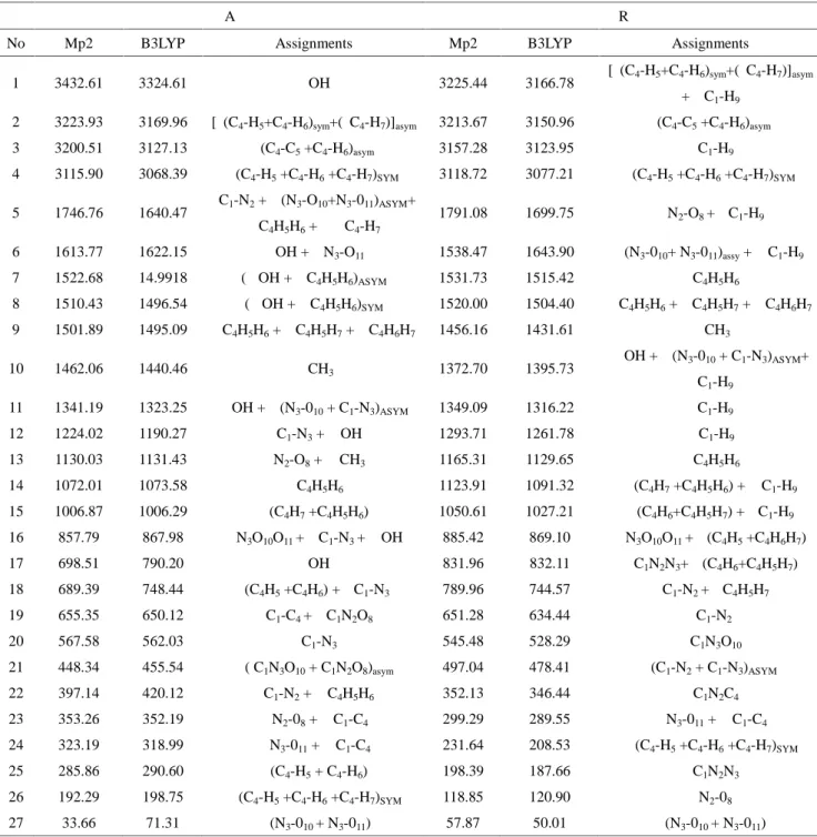 Table 6. Calculated vibrational frequencies of two tautomeric forms (A and B) of ethylnitrolic acid in gas phase using the 6–311++G (d,p) basis set