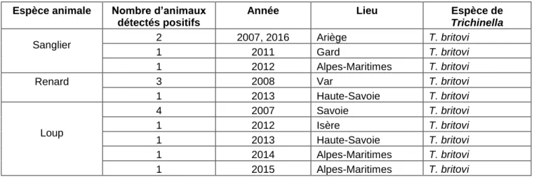 Tableau 5 : Espèces de Trichinella identifiées en France métropolitaine dans la faune sauvage depuis  338 