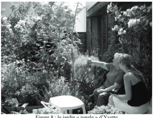 Figure 8 : le jardin « jungle » d’Yvette 
