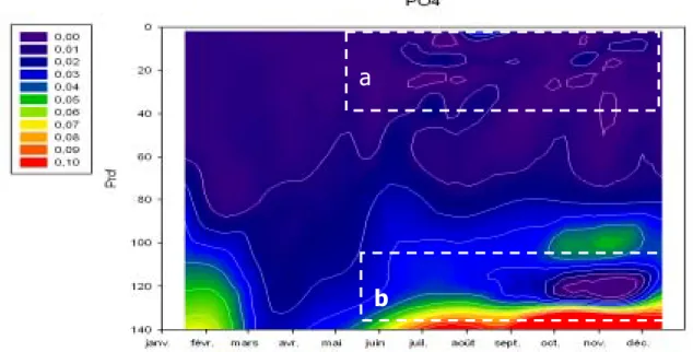 Figure 3 Evolution des concentrations en orthophosphate (mgP.L -1 ) du lac du Bourget – Point B, année 2008 