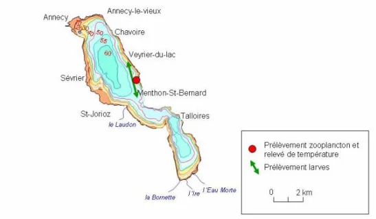 Figure 5 : Situation de la zone de prélèvement des larves de Corégone et de la zone de prélèvement  du zooplancton et d’enregistrement de la température de l’eau sur la carte du lac d’Annecy 