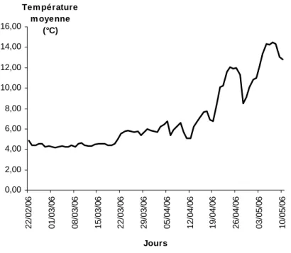 Figure 14 : Evolution de la température moyenne journalière donnée par la sonde enregistreuse littorale 