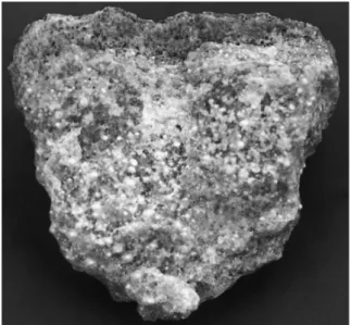 Fig. 4 – Fragment du lingot de matière vitreuse  (TQ 15.411), vue interne. Photographie V