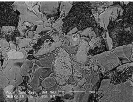 Fig. 6 – Vue d’ensemble avec présence de petits granules silico-magnésiens. 