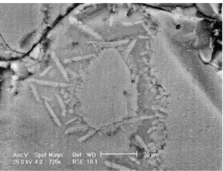 Fig. 8 – Grains de quartz recristallisés. Microphotographie prise au MEB,  copyright C2RMF, A