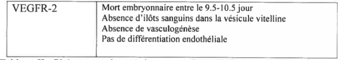 Tableau II: Phénotypes des souris transgéniques déficientes pour les gènes VEGf, VEGFR-l et VEGFR-2 (Breier and Risau, 1996).