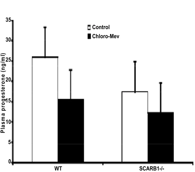 Figure 6.  Control Chloro-Mev SCARB1-/-WTPlasma progesterone(ng/ml)05101520253035