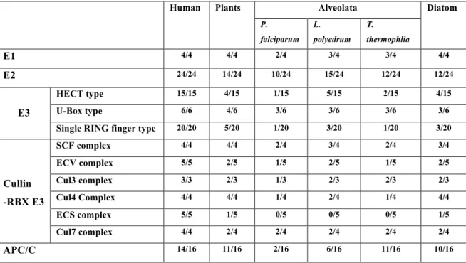 Table 1.3.3. Ubiquitin mediated proteolysis 