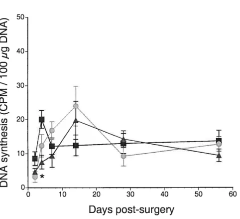 Figure 3. Effects of pressure overload produced by abdominal aortic banding with or without valsartan on DNA synthesis (CPM I 100 jtg DNA)