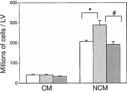 figure 4. Effects of pressure overload produced by abdominal aortic banding with or without valsartan on total number of cardiomyocytes and non-cardiomyocytes in the left ventricle