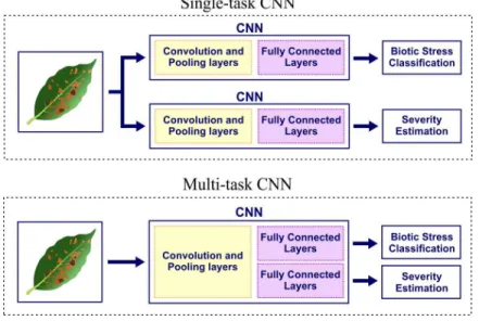 Figure 3: Framework used for single-task and multi-task learning.